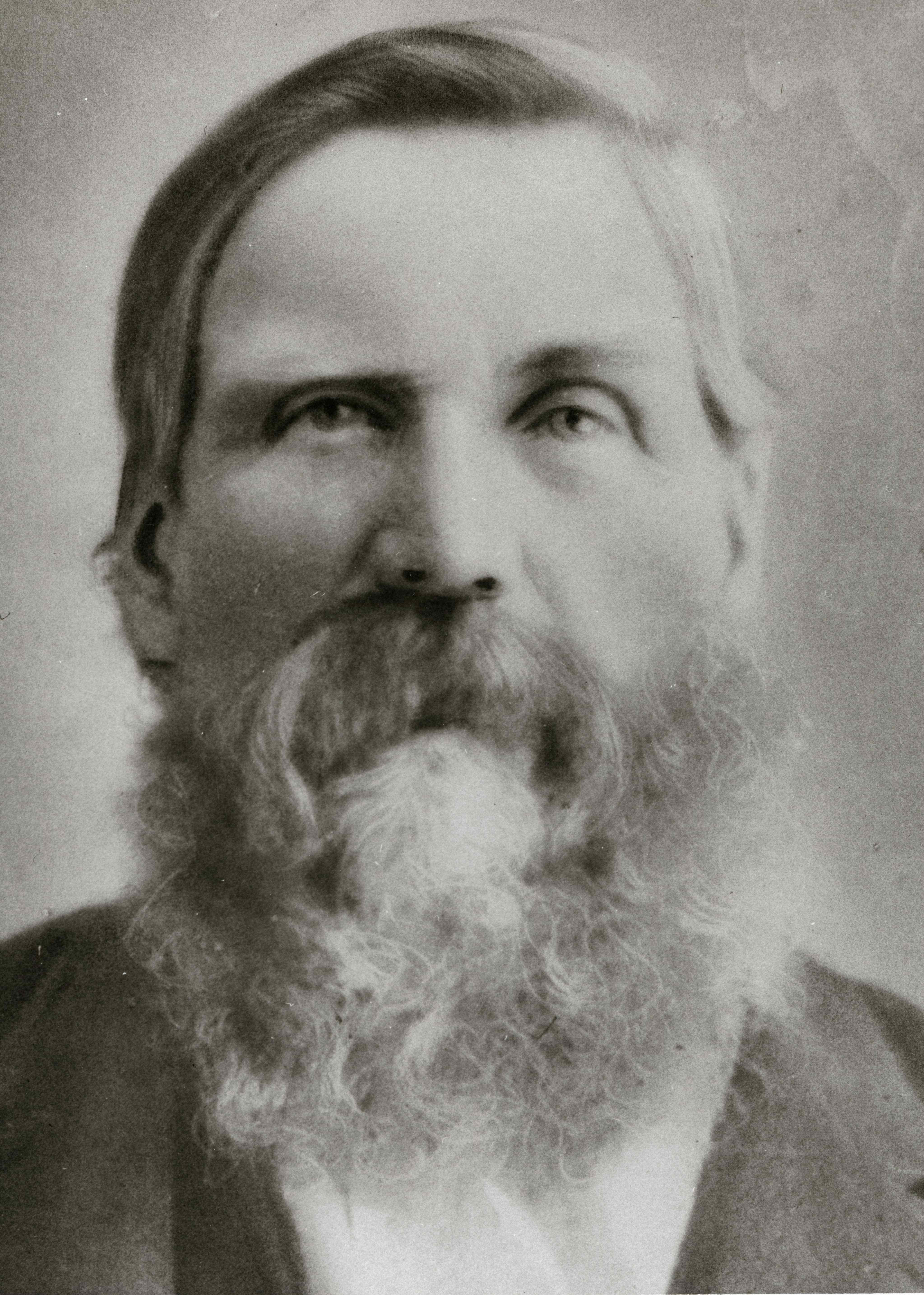 David Jensen (1835 - 1909) Profile